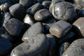 Bolo mármol negro 25 litros 15/25 mm - El Nou Garden