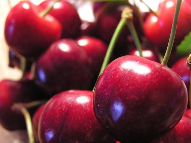 Cerezo Sweet Heart - Prunus avium - El Nou Garden