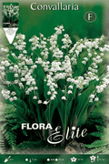 Convallaria - Muguet - Lirio de los valles - Bulbos - El Nou Garden