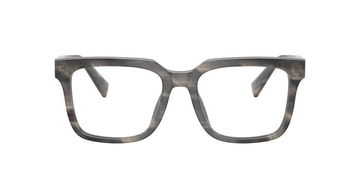 Dolce & Gabbana DG 3422 3199