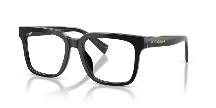Dolce & Gabbana DG 3422 501