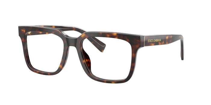 Dolce & Gabbana DG 3422 502