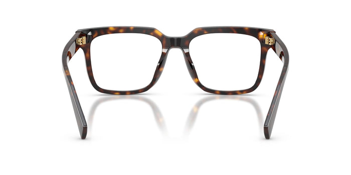 Dolce & Gabbana DG 3422 502