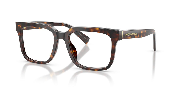 Dolce & Gabbana DG 3422 502