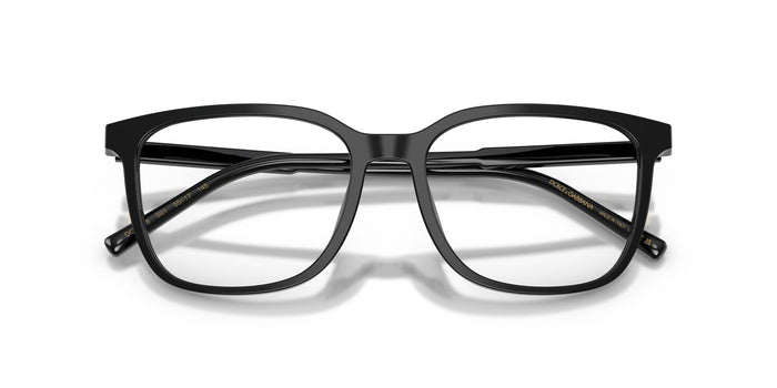 Dolce & Gabbana DG 3445  501