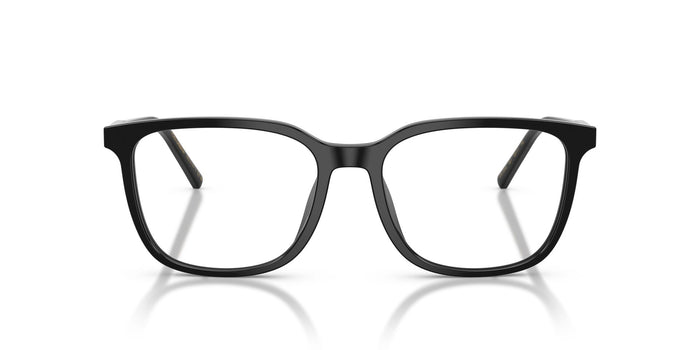 Dolce & Gabbana DG 3445  501