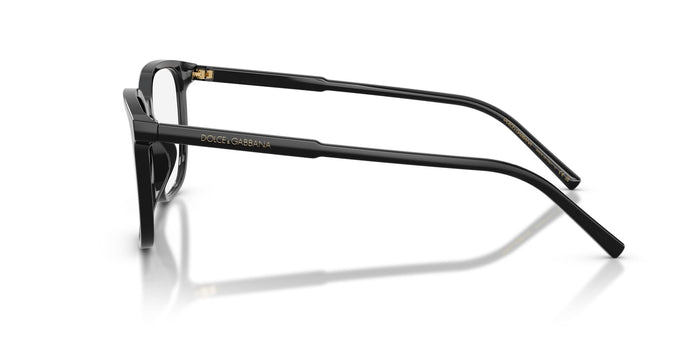 Dolce & Gabbana DG 3445  501