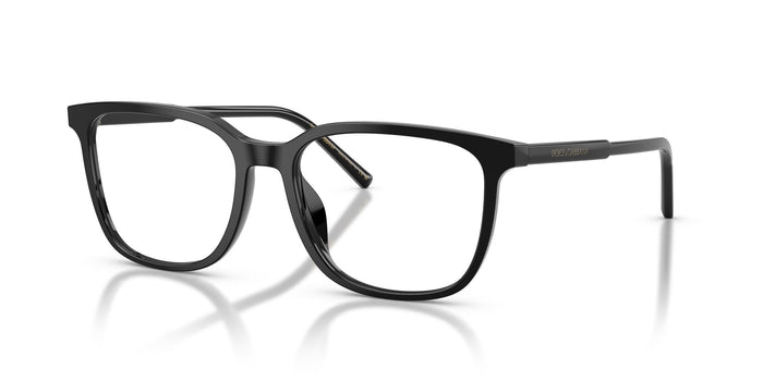 Dolce & Gabbana DG 3445  501