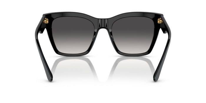 Dolce & Gabbana DG 4384 501/8G