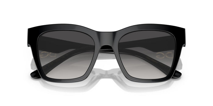 Dolce & Gabbana DG 4384 501/8G
