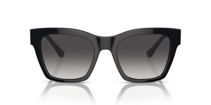 Dolce & Gabbana DG 4384 501/8G