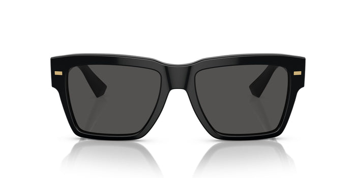 Dolce & Gabbana DG 4431 501/87