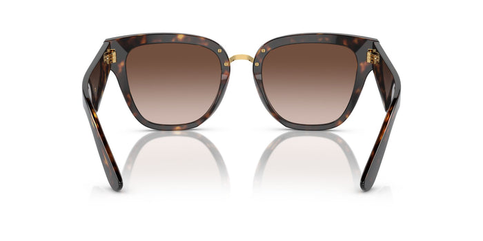 Dolce & Gabbana DG 4437 502/13