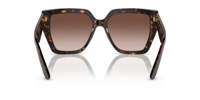 Dolce & Gabbana DG 4438  502 13