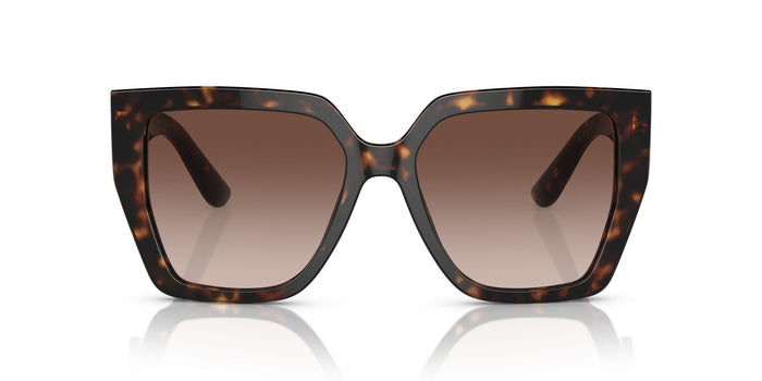 Dolce & Gabbana DG 4438  502 13