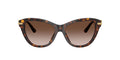 Dolce & Gabbana DG 4534  502 13