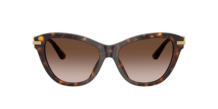 Dolce & Gabbana DG 4534  502 13