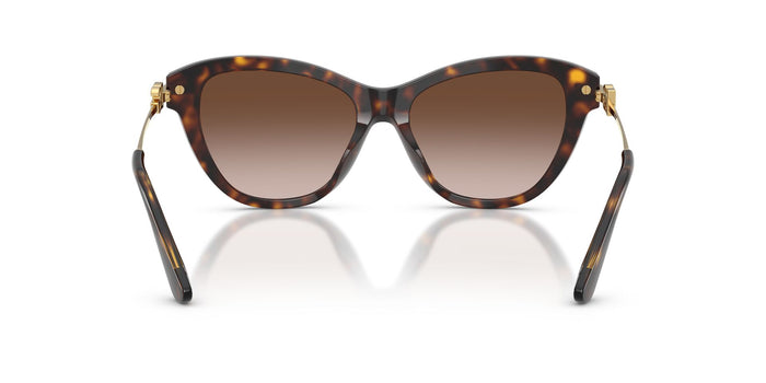 Dolce & Gabbana DG 4534  502 13