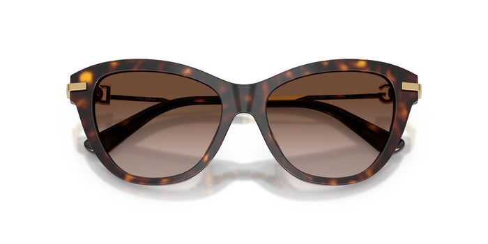Dolce & Gabbana DG 4534  502 13
