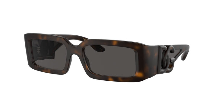Dolce & Gabbana DG 6197 1935/87