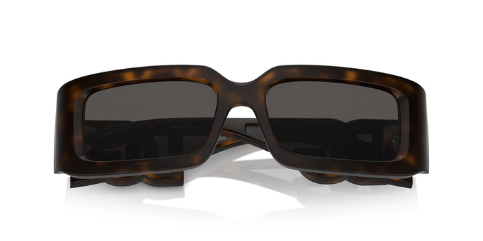 Dolce & Gabbana DG 6197 1935/87