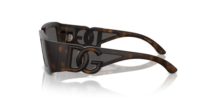 Dolce & Gabbana DG 6197 1935/87