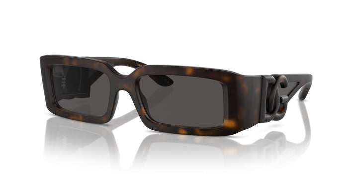 Dolce & Gabbana DG 6197 1935/87