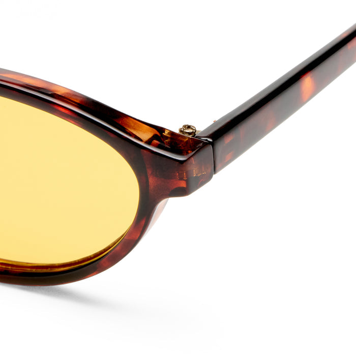Earthshine Amber Tort Female Oval Sunglasses | Aire