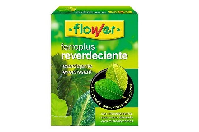 Ferro - Plus Reverdeciente - Flower - El Nou Garden