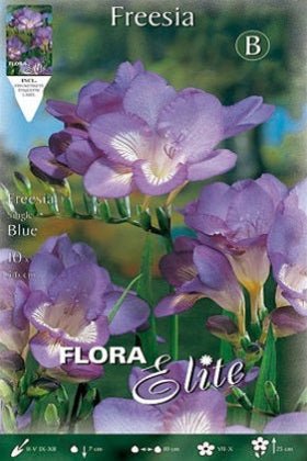 Freesia simple azul - Bulbos - El Nou Garden