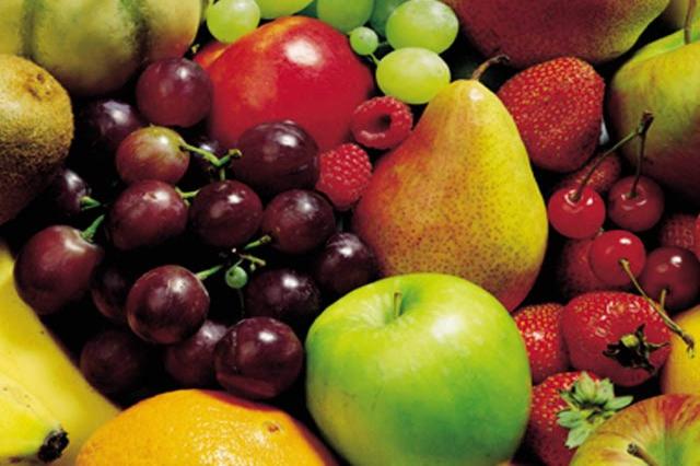 Frutal en raíz desnuda - Cepellones - El Nou Garden