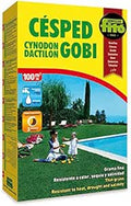 Grama fina - Cynodon dactilon - Fitó - El Nou Garden