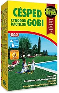 Grama fina - Cynodon dactilon - Fitó - El Nou Garden