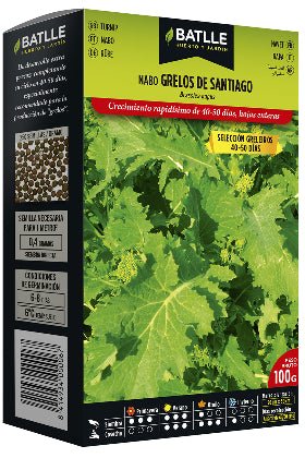Grelos de Santiago selección greleiros - Brassica rappa - Semillas - Batlle - El Nou Garden