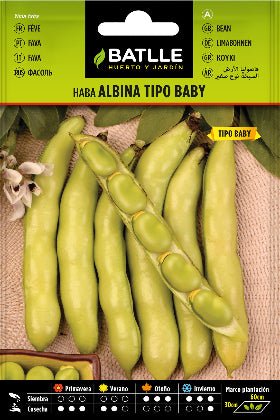 Haba albina tipo baby - Vicia faba - Semillas - Batlle - El Nou Garden