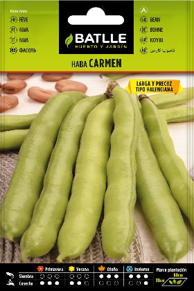 Haba Carmen larga precoz - Vicia faba - Semillas - Batlle - El Nou Garden
