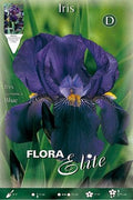 Iris germanica azul - Bulbos - El Nou Garden