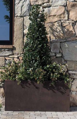 Jardinera Fiberclay semi alta rectangular - Discom - El Nou Garden