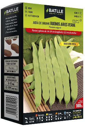 Judía enrame Buenos Aires verde - Phaseolus vulgaris - Semillas - Batlle - El Nou Garden