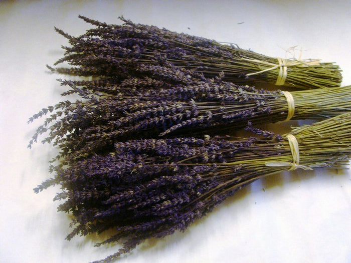 Lavanda - Ramo - El Nou Garden
