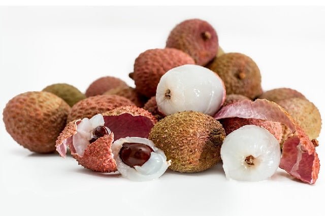 Litchi - Litchi chinensis - El Nou Garden