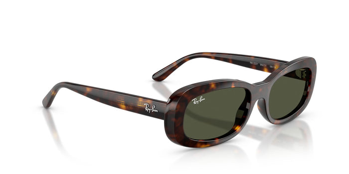 RayBan RB 2221 902/31