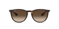 RayBan RB 4171 865/13