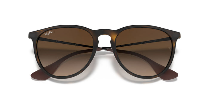 RayBan RB 4171 865/13