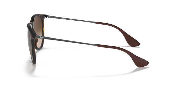 RayBan RB 4171 865/13