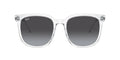 RayBan RB 4401D 6447/8G