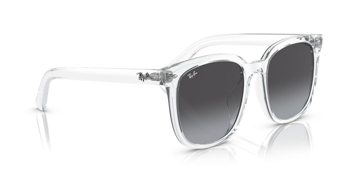 RayBan RB 4401D 6447/8G