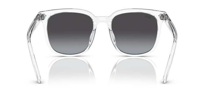 RayBan RB 4401D 6447/8G
