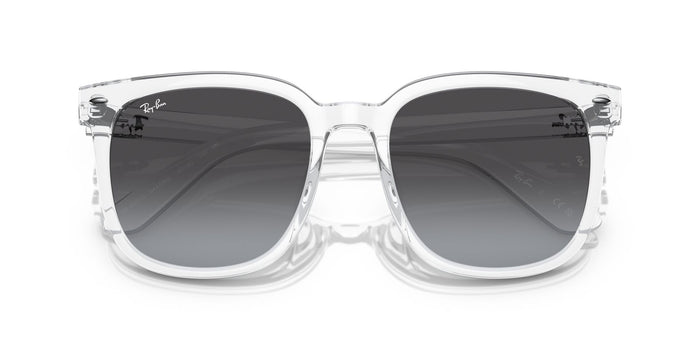 RayBan RB 4401D 6447/8G