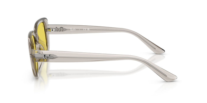 RayBan RB 4421D 6818/85